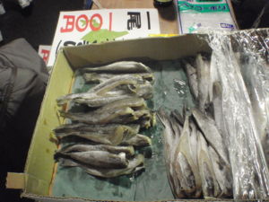 f:id:biso:20111204085317j:image