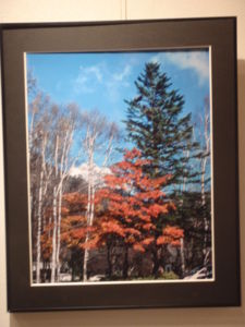 f:id:biso:20111217071103j:image