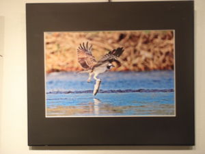 f:id:biso:20111217071116j:image