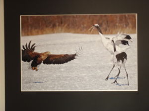 f:id:biso:20111217071134j:image