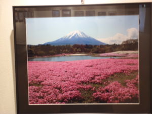 f:id:biso:20111217071149j:image