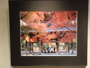 f:id:biso:20111217071332j:image