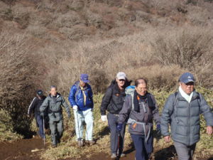 f:id:biso:20111219073243j:image