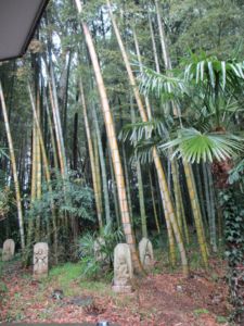 f:id:biso:20120324070711j:image