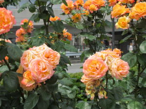 20120604071430