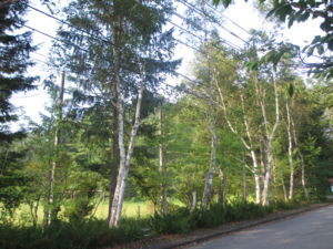 f:id:biso:20120910071533j:image