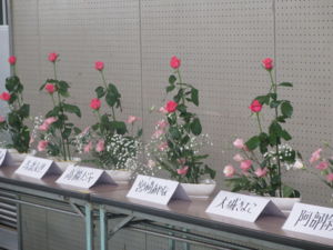 f:id:biso:20120922172633j:image