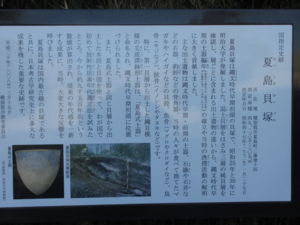 f:id:biso:20130128072712j:image