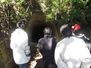 f:id:biso:20130128072729j:image