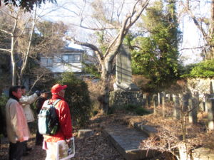 f:id:biso:20130128073233j:image