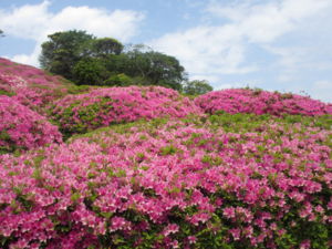 20130502070610