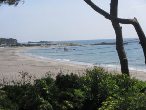f:id:biso:20130517160024j:image