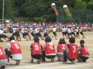 f:id:biso:20130602071312j:image