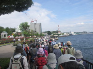 f:id:biso:20130603072521j:image