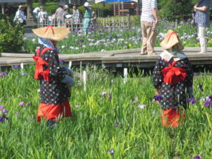 f:id:biso:20130605070910j:image