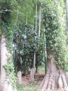 f:id:biso:20130608074419j:image