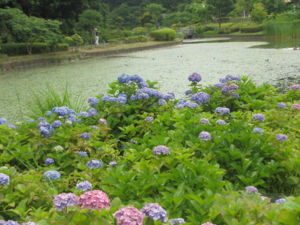 f:id:biso:20130611071415j:image