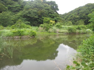 f:id:biso:20130611071539j:image