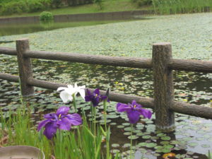 f:id:biso:20130611071634j:image