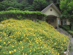 f:id:biso:20130611071807j:image