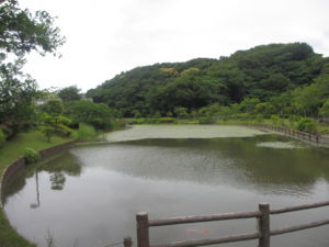 f:id:biso:20130611071823j:image