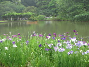 f:id:biso:20130615072316j:image