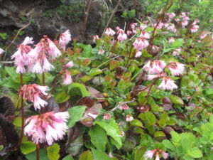 f:id:biso:20130624071610j:image