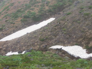 f:id:biso:20130624072406j:image