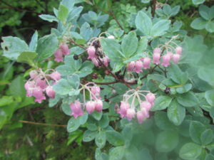 f:id:biso:20130624072428j:image