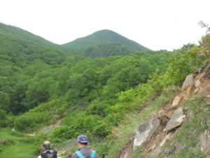 f:id:biso:20130624075504j:image