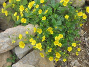 f:id:biso:20130624080046j:image