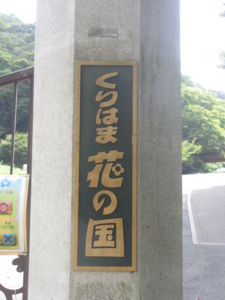 f:id:biso:20130907070816j:image