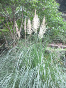 f:id:biso:20130907070842j:image