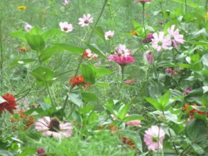 f:id:biso:20130907071030j:image