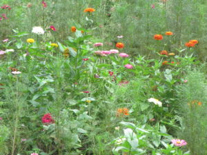 f:id:biso:20130907071053j:image