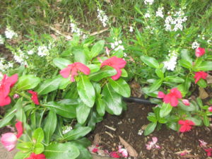 f:id:biso:20130907071135j:image