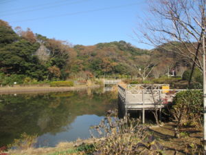 f:id:biso:20131203071243j:image