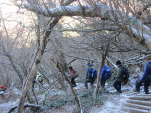 f:id:biso:20131216091457j:image