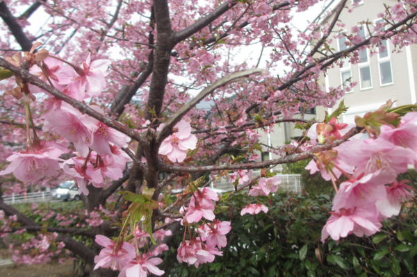 f:id:biso:20140304070933j:image