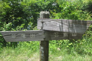 f:id:biso:20140616073932j:image