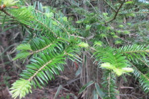 f:id:biso:20140616074051j:image