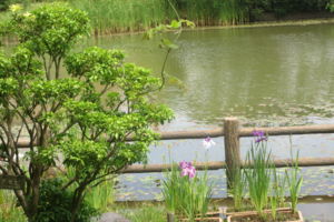 20140624071008