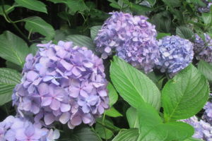 f:id:biso:20140701071154j:image