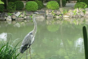 f:id:biso:20140724074633j:image