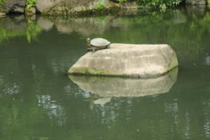 f:id:biso:20140724074754j:image
