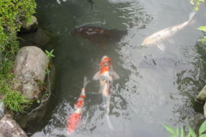 f:id:biso:20140724074837j:image