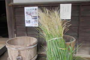 f:id:biso:20140908072708j:image