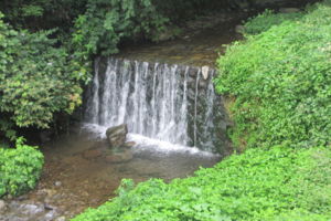 f:id:biso:20140908073424j:image