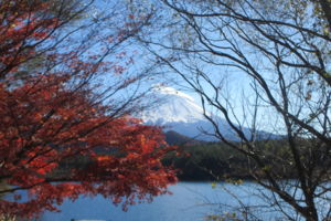 20141123065744