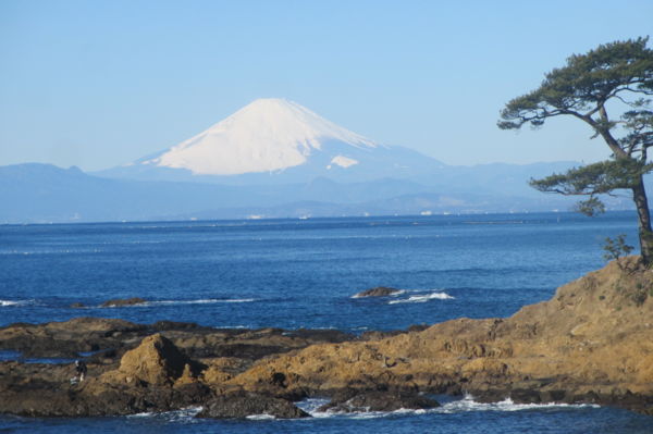 f:id:biso:20150119071406j:image